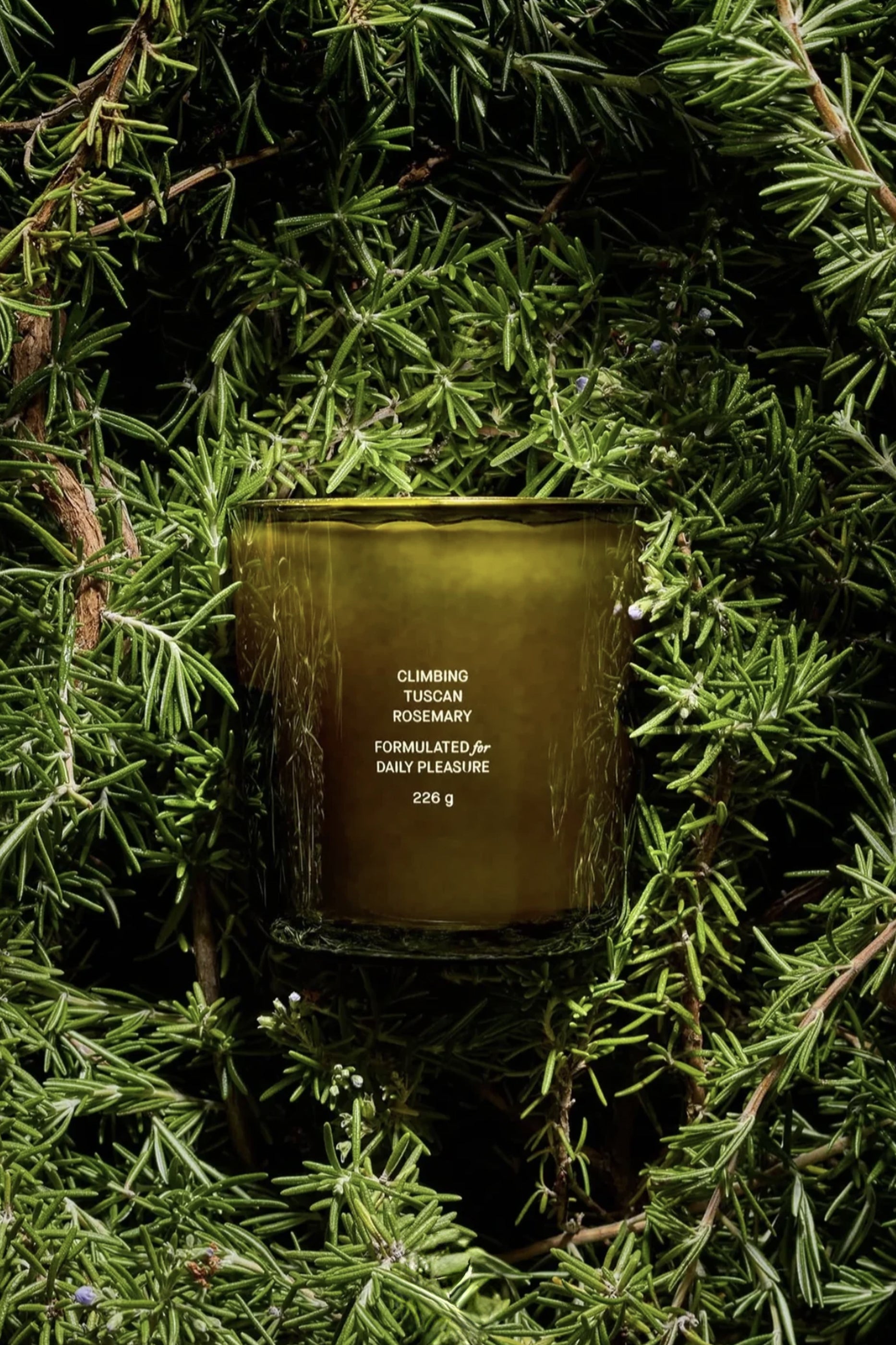 Flamingo Estate Climbing Tuscan Rosemary Candle