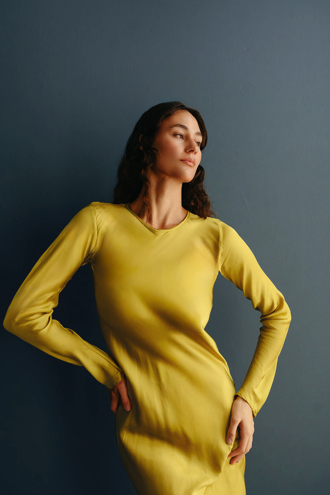 Swati Dress in Cotton Satin