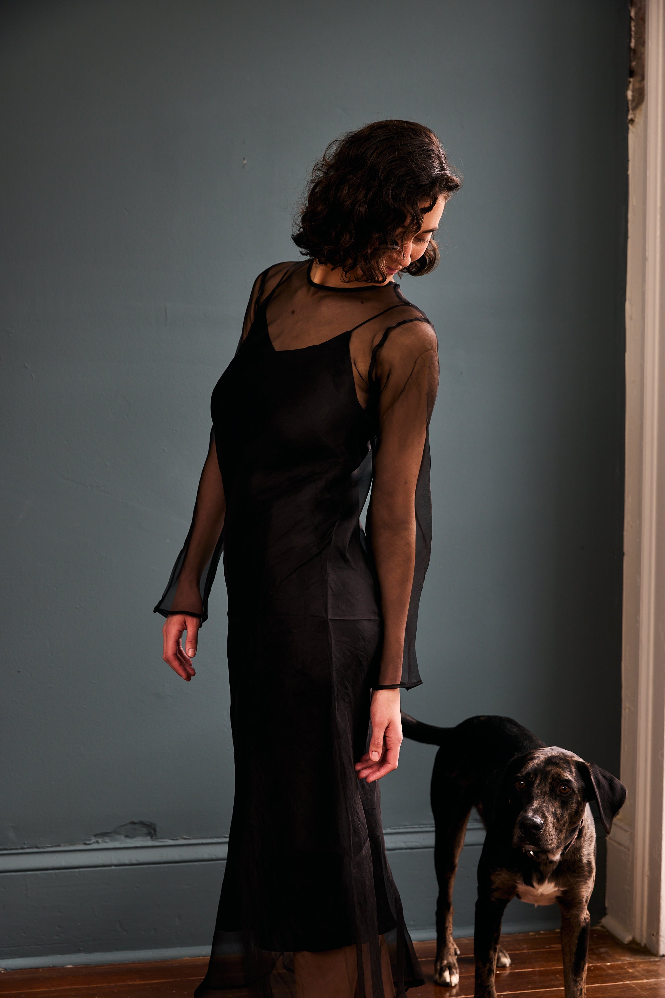 Swati Dress in Organza