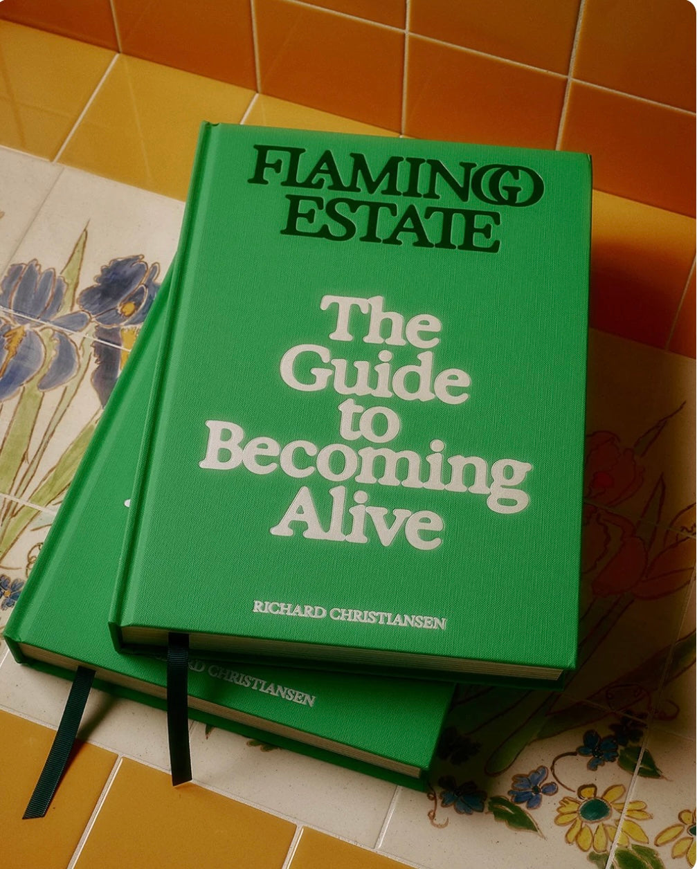 The Guide to Becoming Alive
