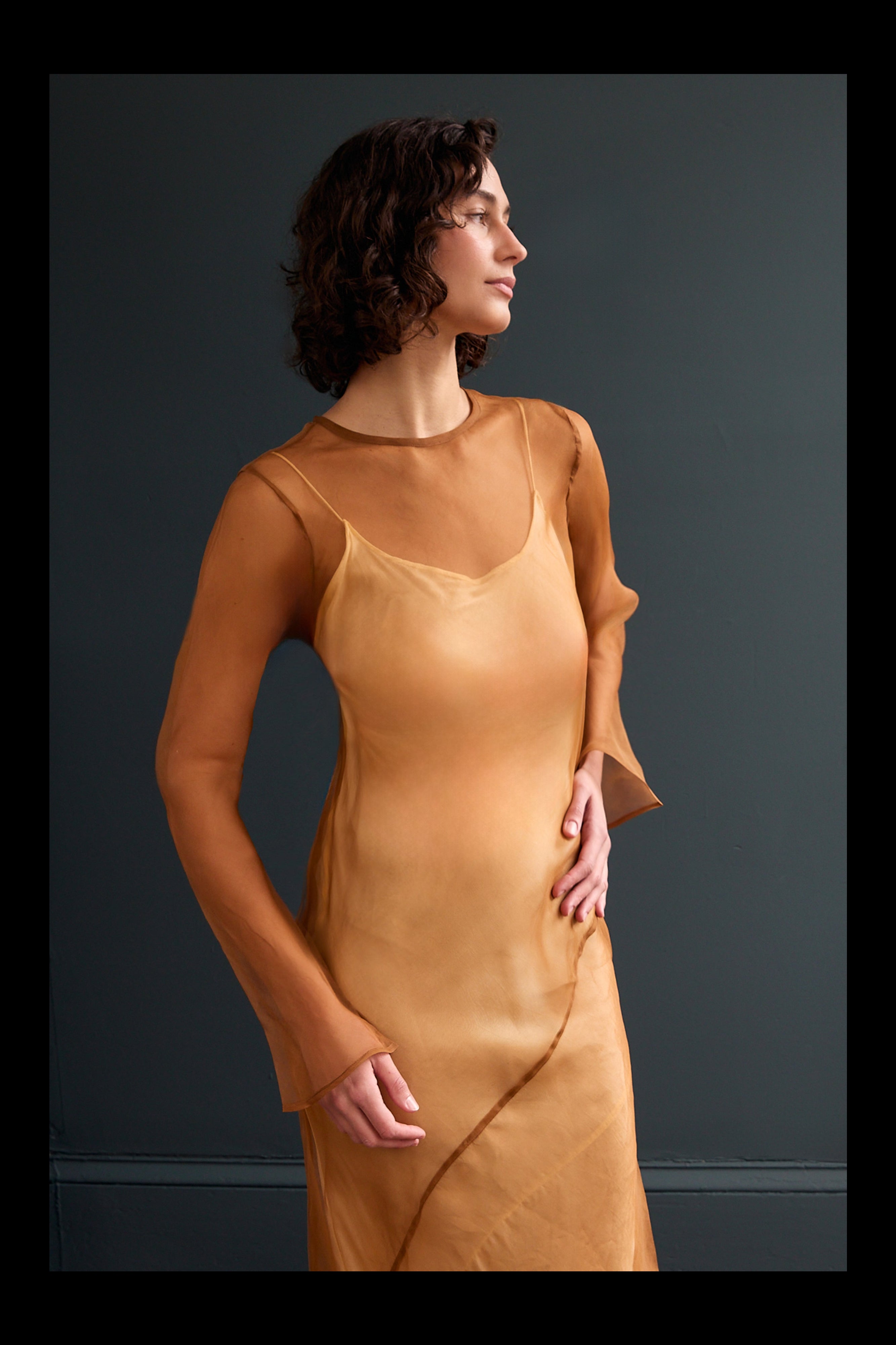 Swati Dress in Organza